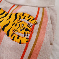 Knitted Pants